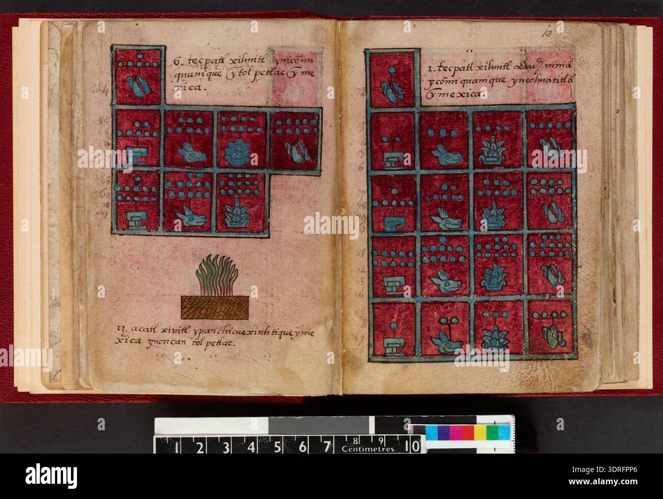 The 1576 Codex Aubin comprises eighty-one leaves of European paper ...