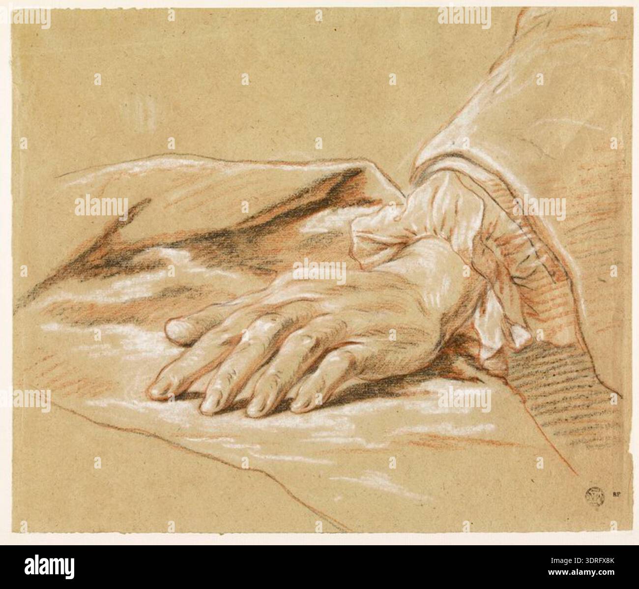 Academic anatomy documentation hi-res stock photography and images - Alamy