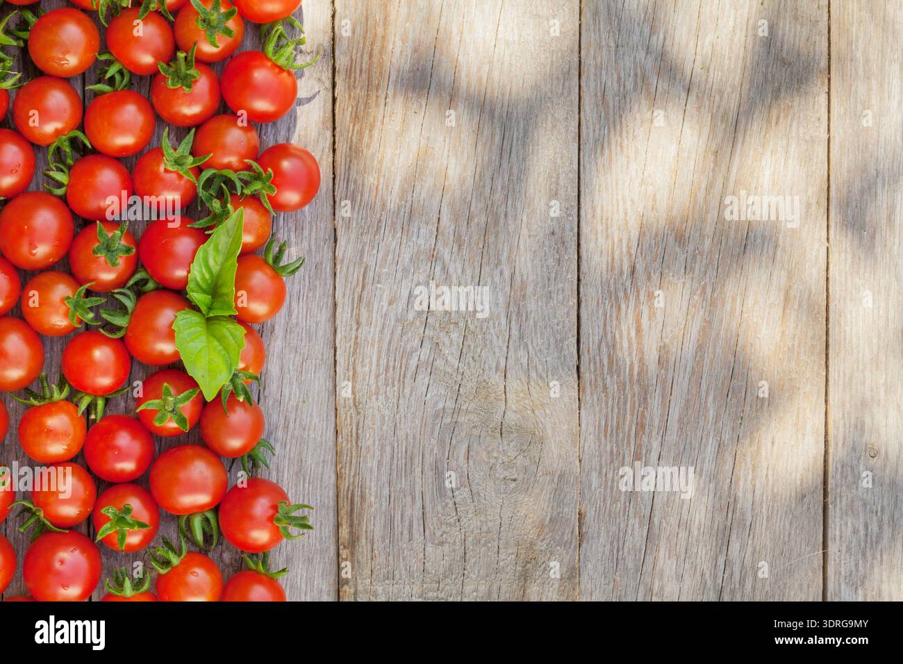 Ripe cherry tomatoes and basil Stock Photo