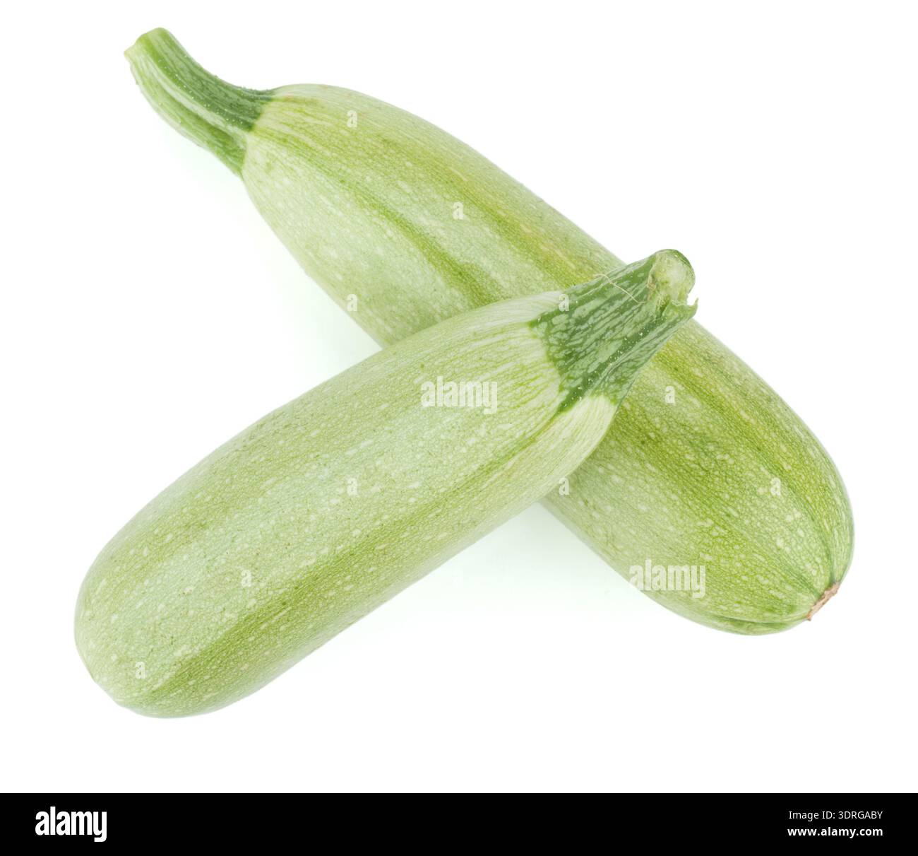 Fresh marrow vegetable Stock Photo
