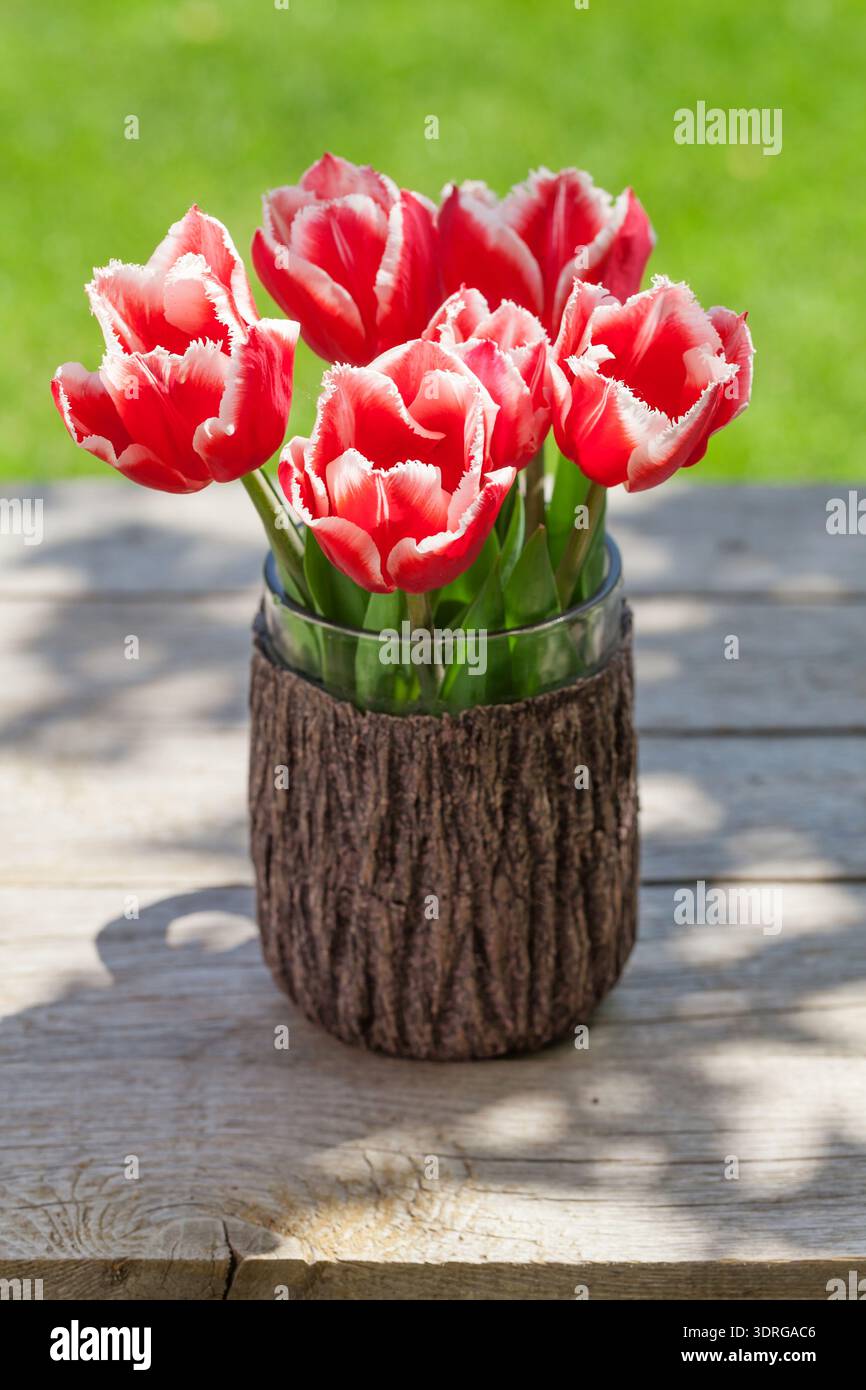 Colorful tulips on garden table Stock Photo