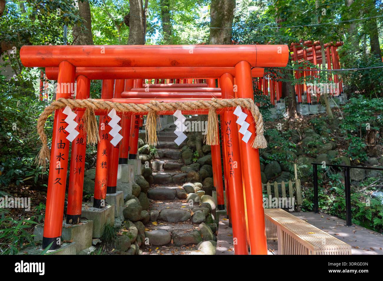 A pathway lined with traditional red torii gates creates a spiritual ...