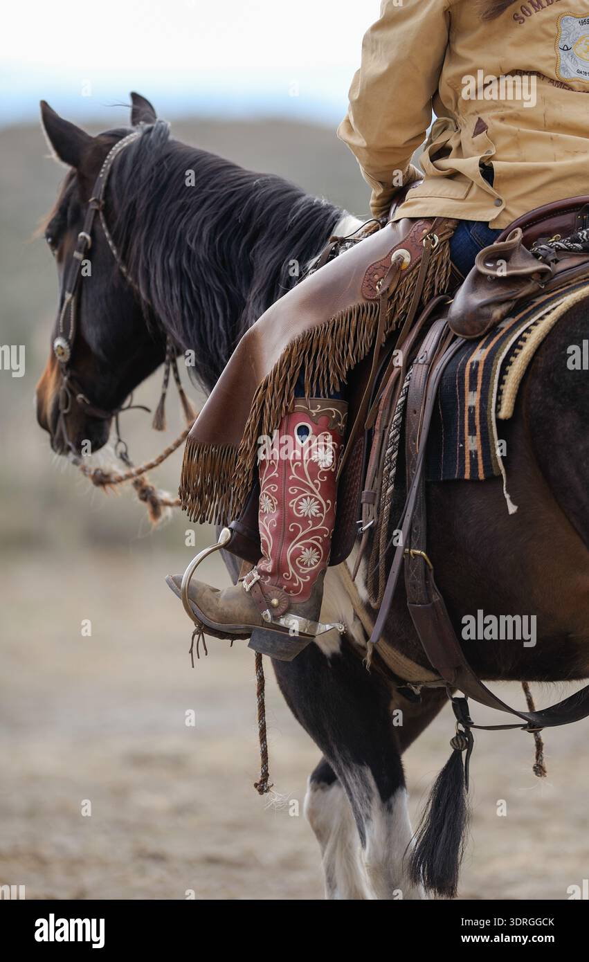 close up crop of female western horse rider or cowgirl with western ...