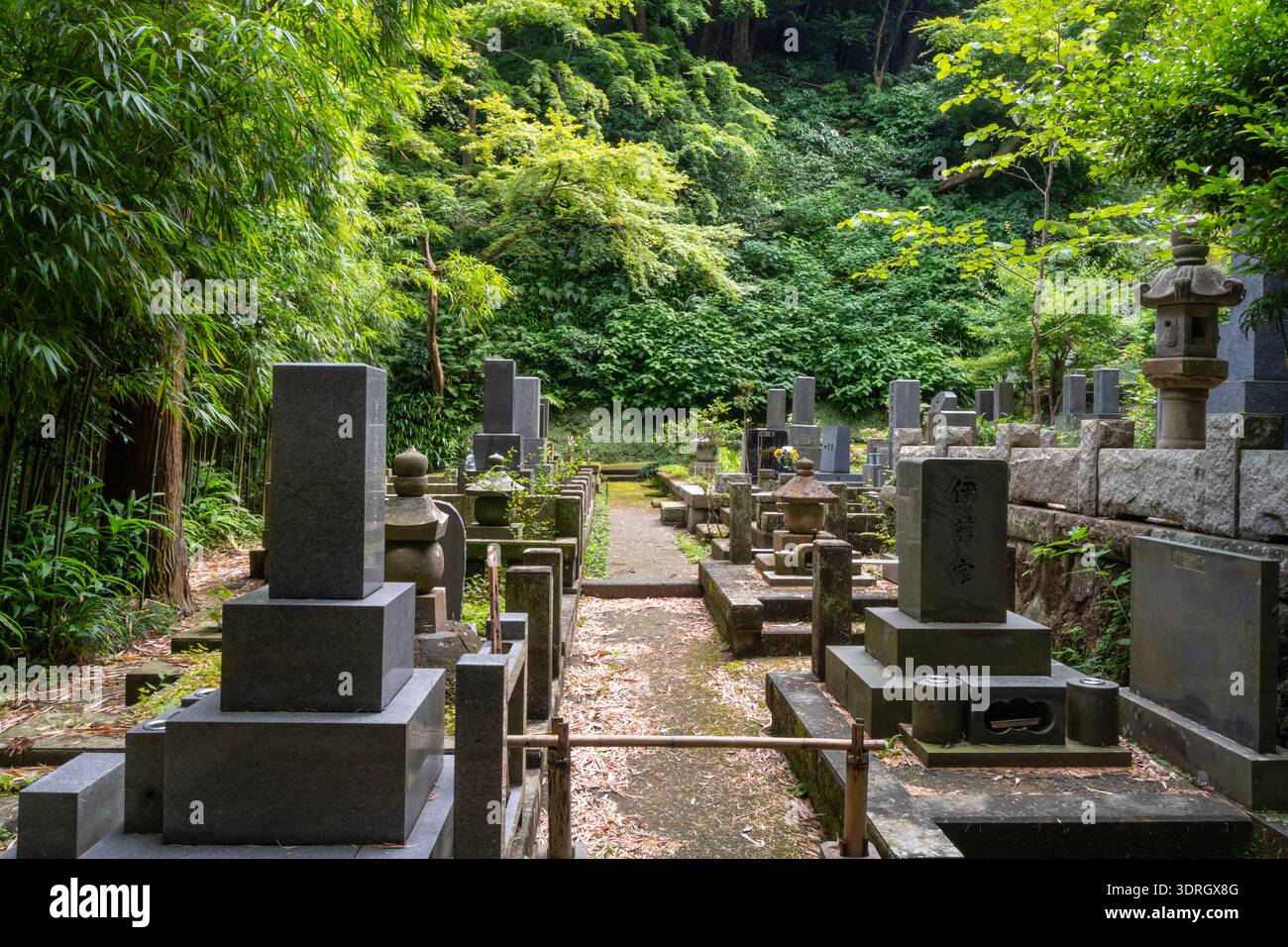 Graveyard surrounded by forest at Jochi-ji Temple in Kamakura Stock Photo