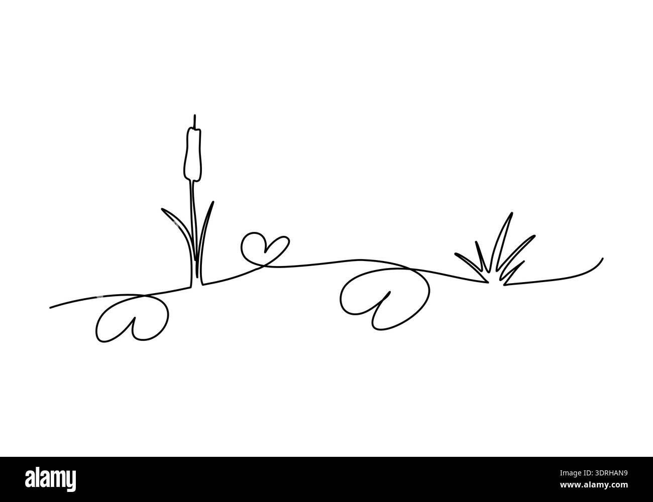 Reed, cattail in swamp one line drawing, vector illustration Stock ...