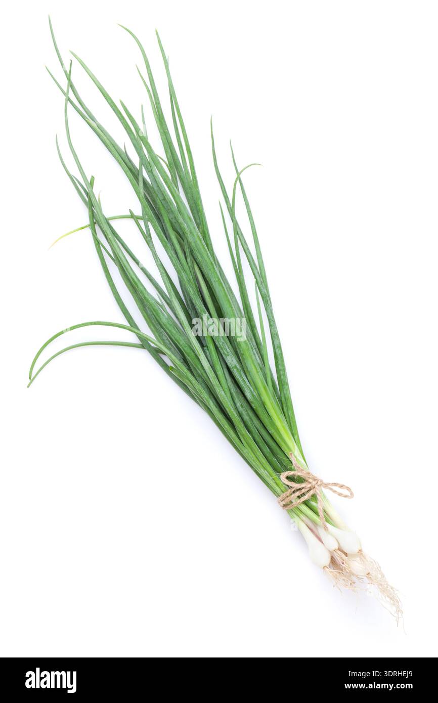 Fresh garden herbs. Spring onion Stock Photo