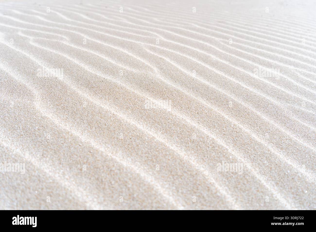 Close-up view of delicate ripple patterns naturally formed by wind across fine sand dunes, creating a minimalist abstract textur Stock Photo