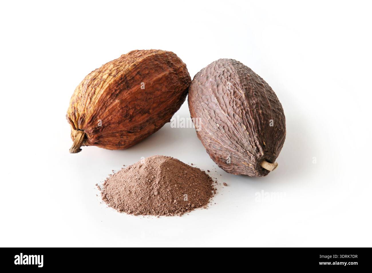 Cocoa pods Stock Photo
