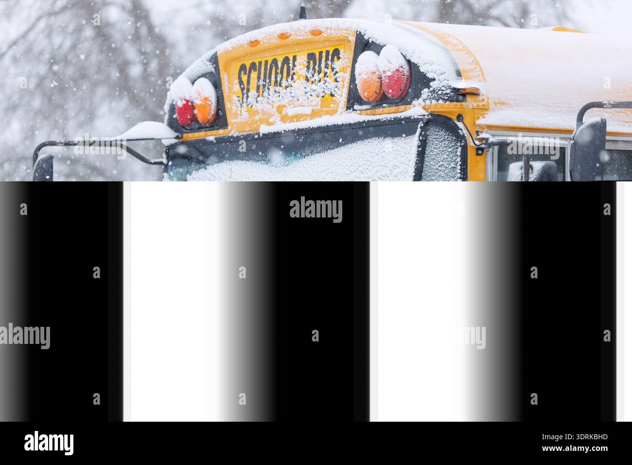 School buses remain parked after bus transportation was cancelled