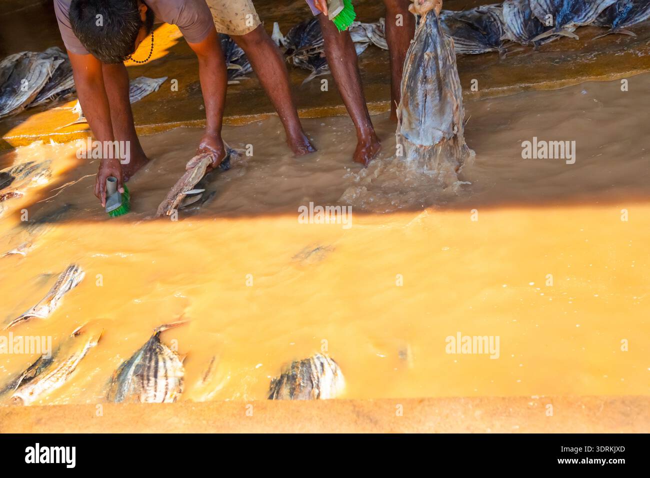 Workers at a small fish factory Stock Photo