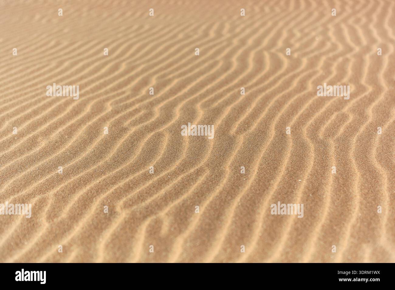 Wave patterns in the sand on the beach Stock Photo