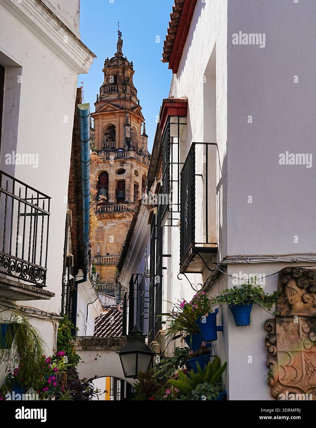 Flower alley in Cordoba, Spain Stock Photo