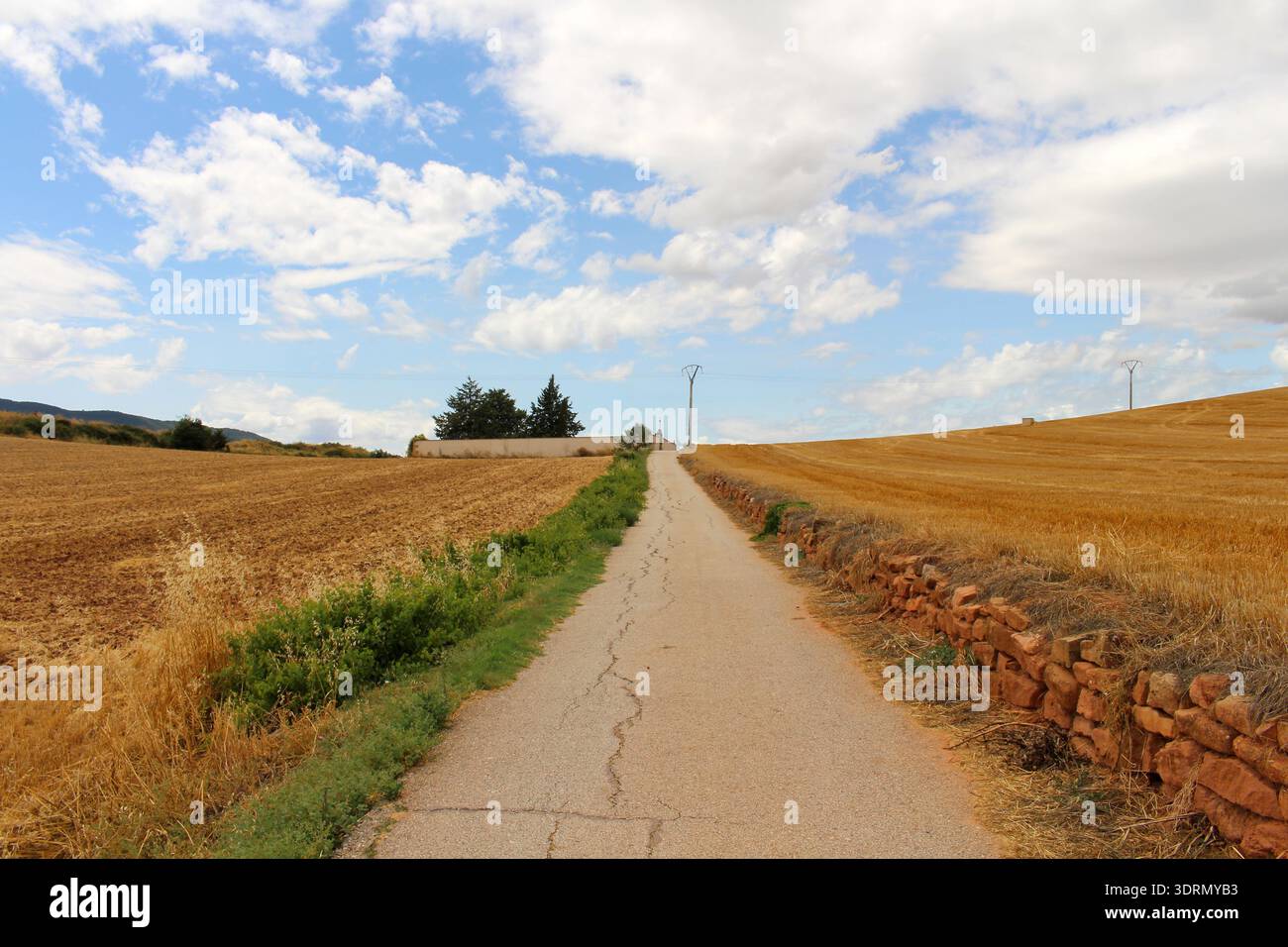 Iconic Camino de Santiago landscape after Maneru in the background in ...