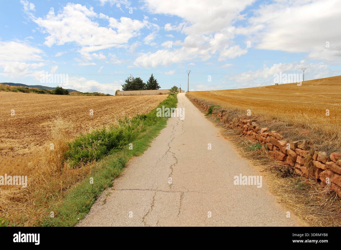Iconic Camino de Santiago landscape after Maneru in the background in ...