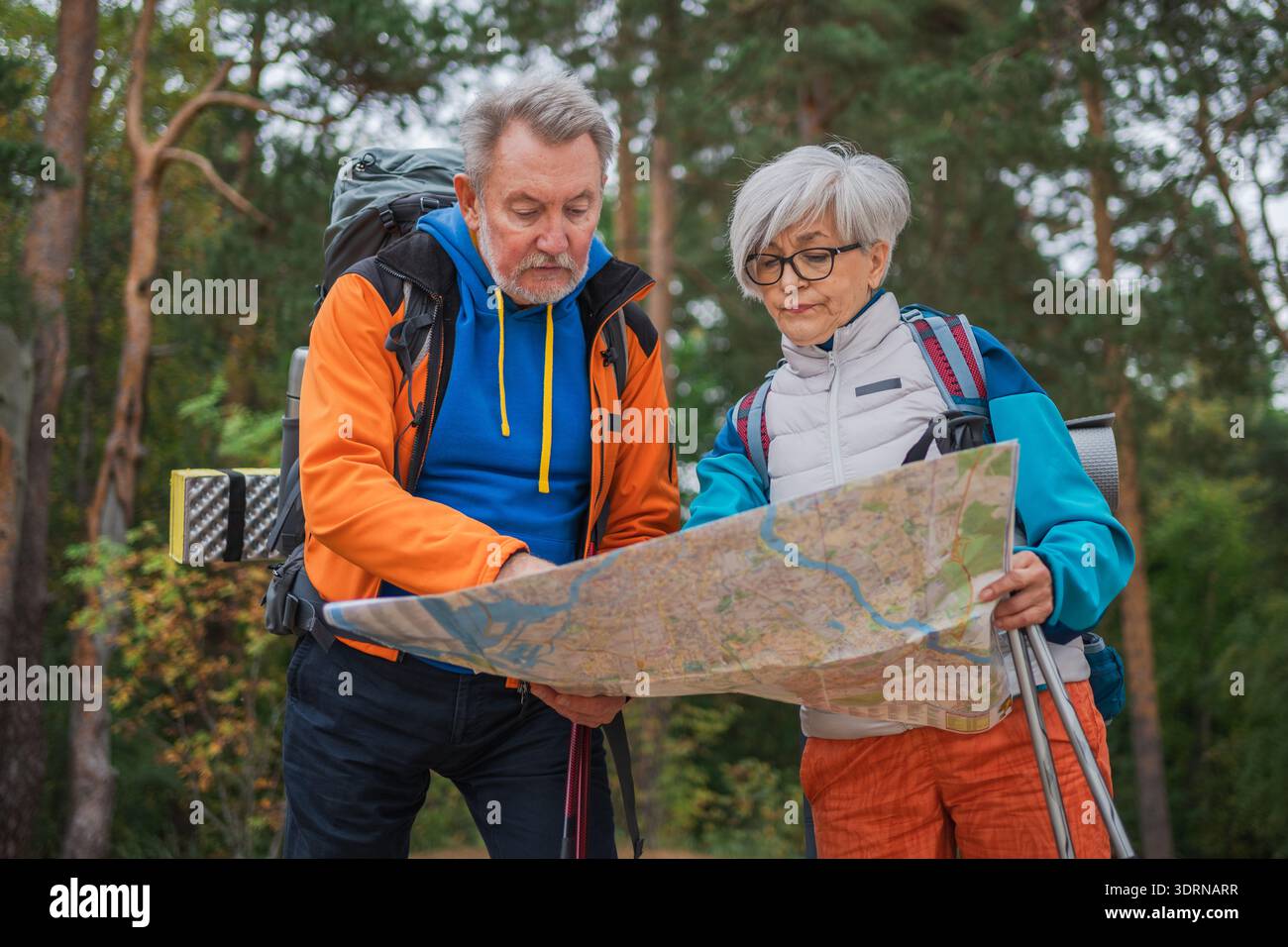Hiking tourism. Senior couple man woman looking track in paper map enjoying hiking in forest. Happy old people backpackers hiker Stock Photo