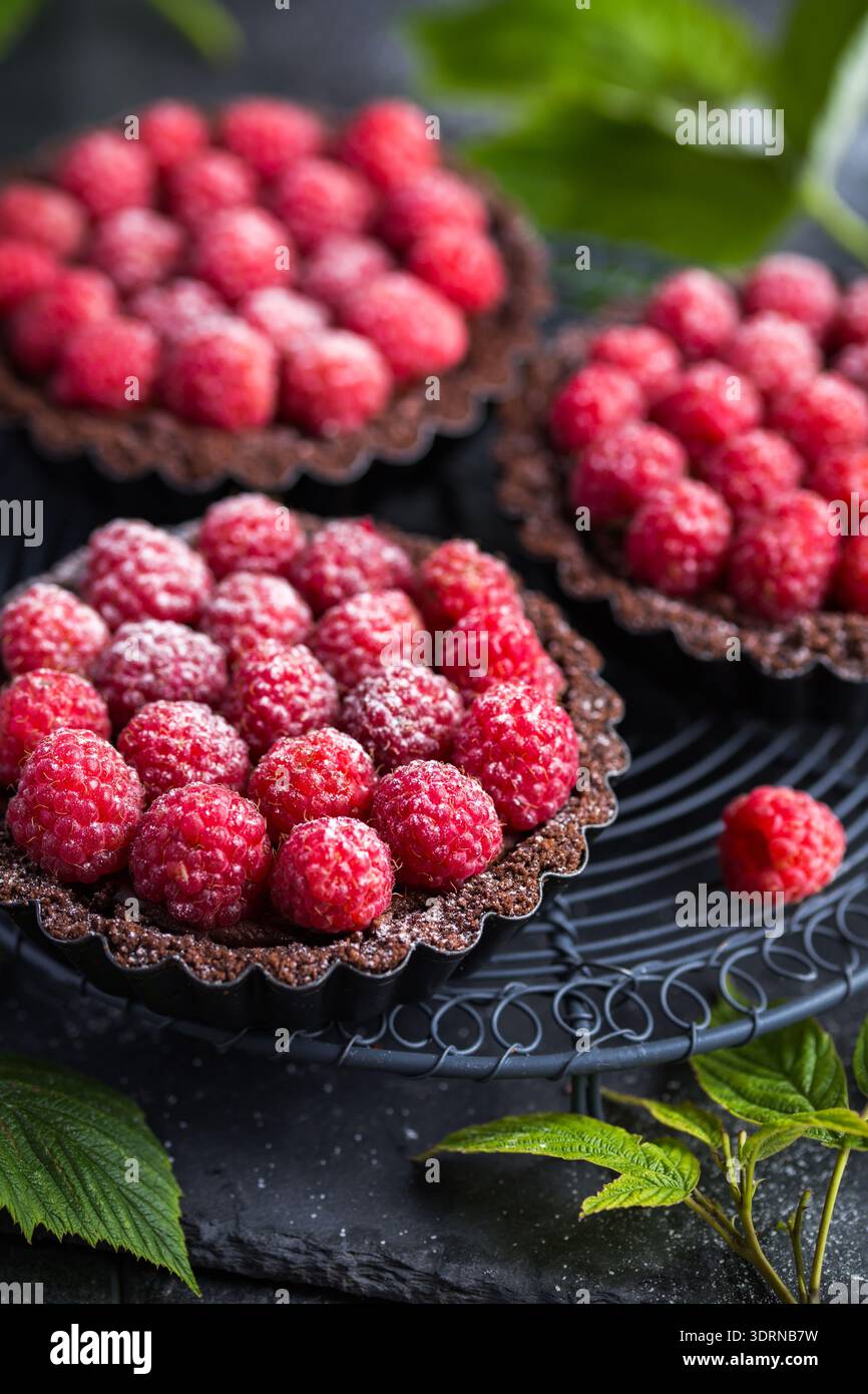 Chocolate tarts with fresh raspberry Stock Photo