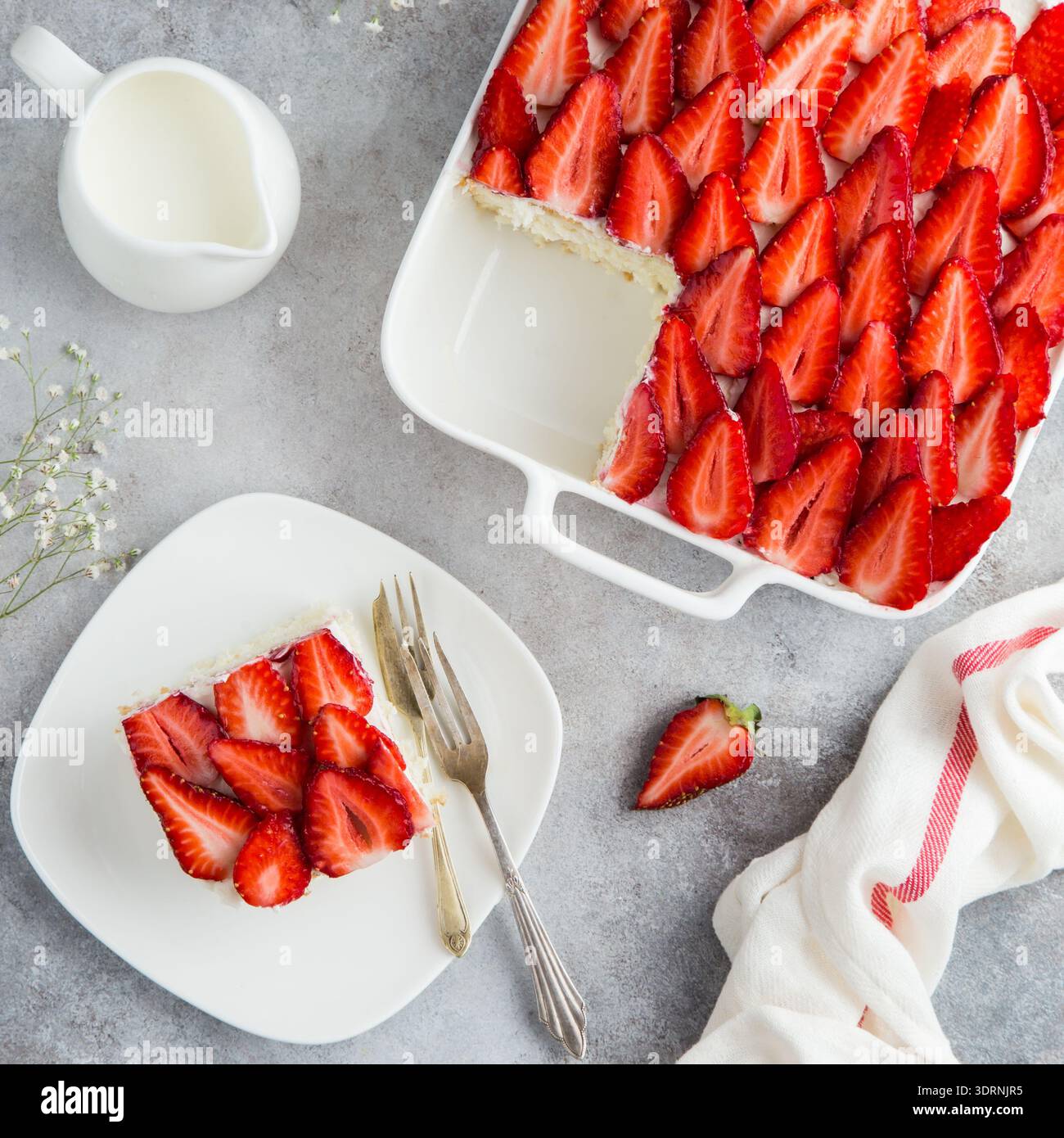 Strawberry sponge cake on white baking dish, top view Stock Photo