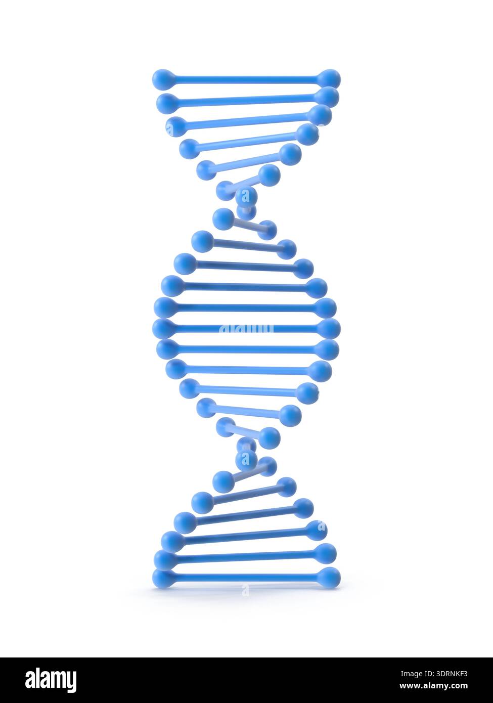 DNA Double Helix Model Stock Photo