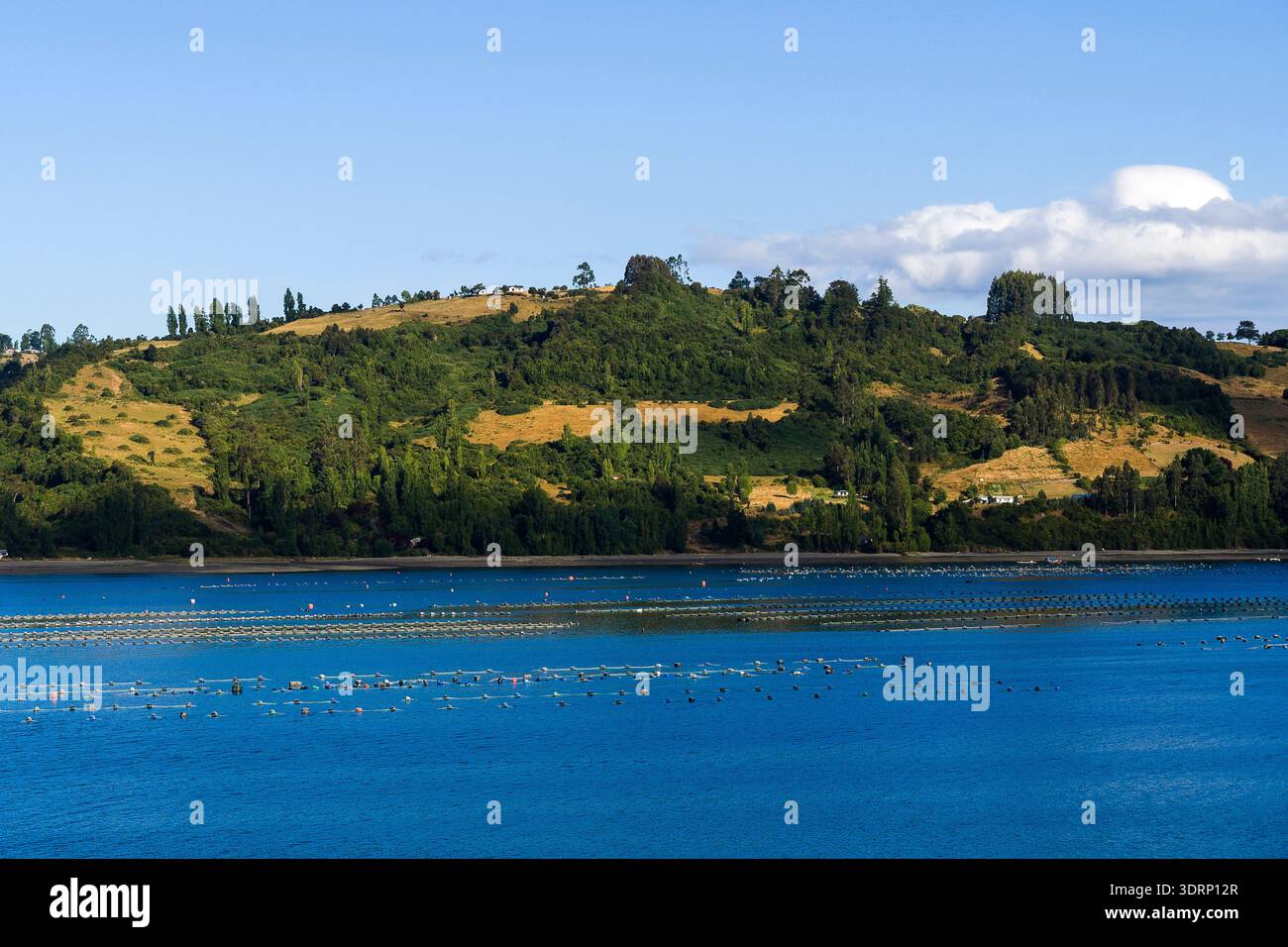 001 012025 572 hi-res stock photography and images - Alamy