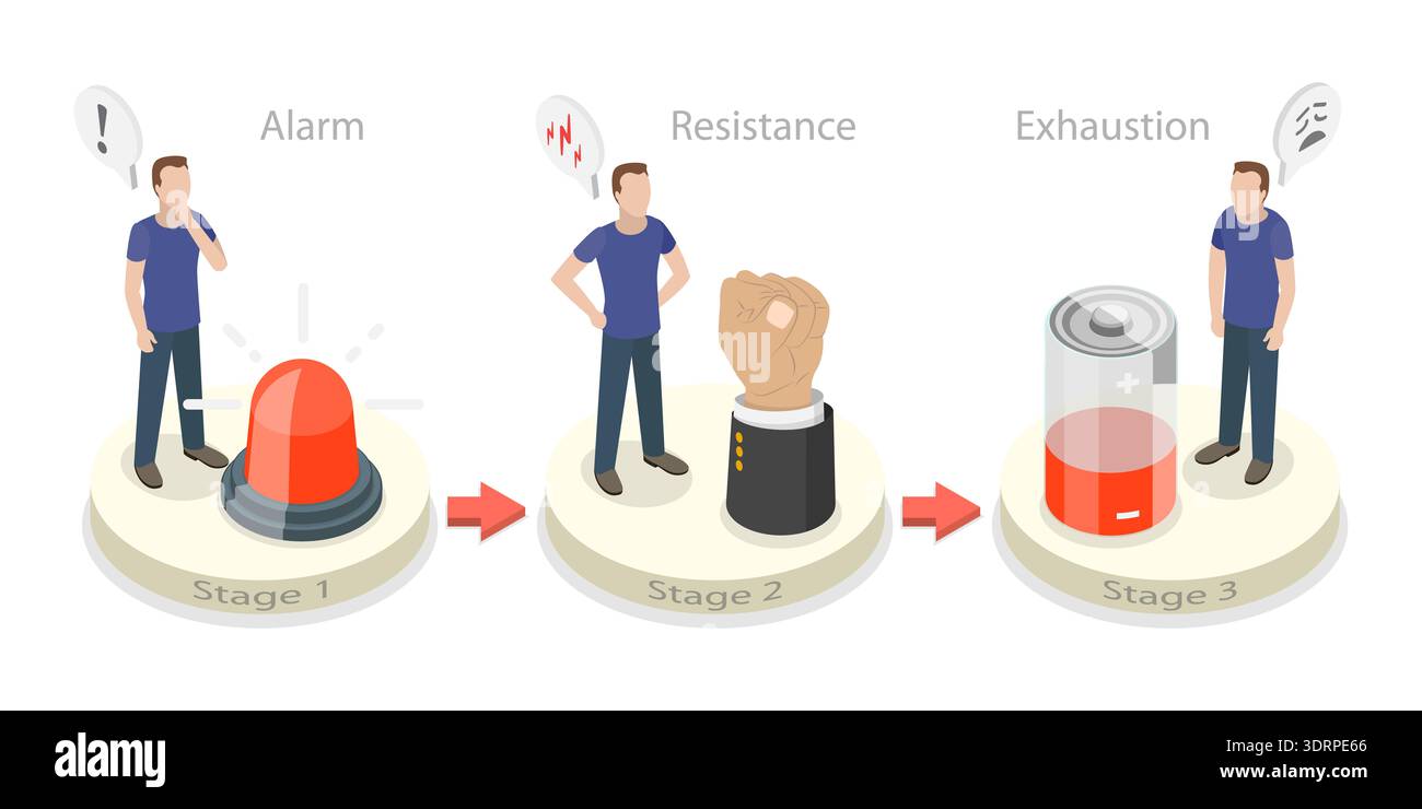 3D Isometric Flat Vector Illustration of Stages Of Stress Response ...