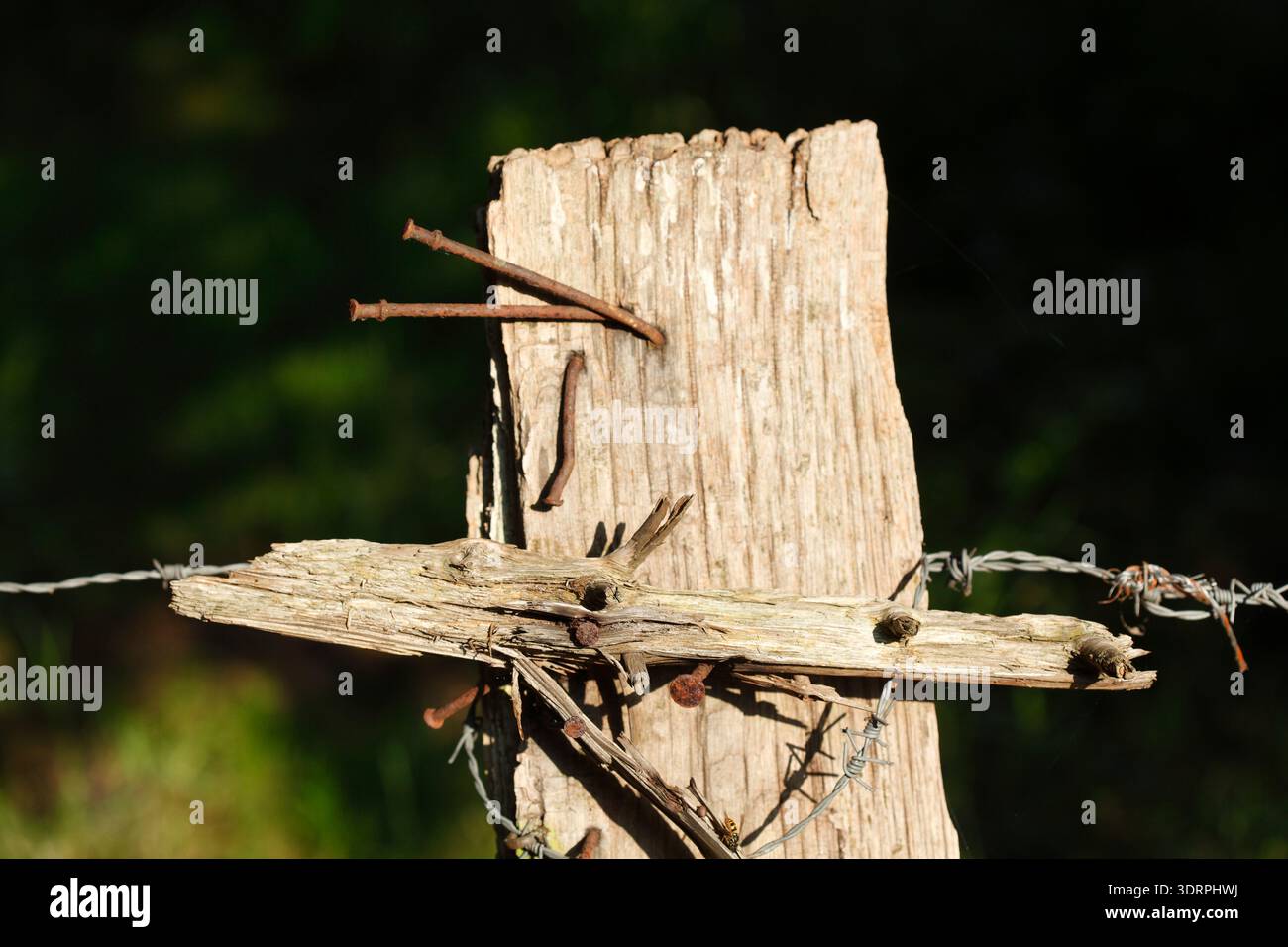 Fence post with rusty barbed wire Stock Photo