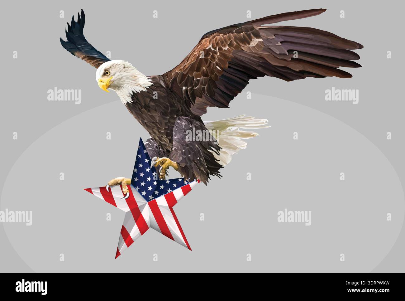 BALDEAGLE  HOLDING STAR WITH US FLAG VECTOR DRAWING Stock Vector