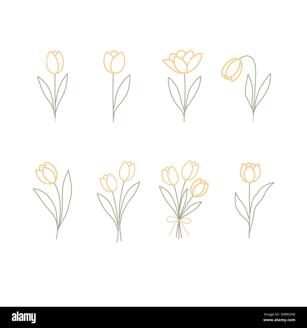Minimal Tulip Floral Line Collection Stock Vector
