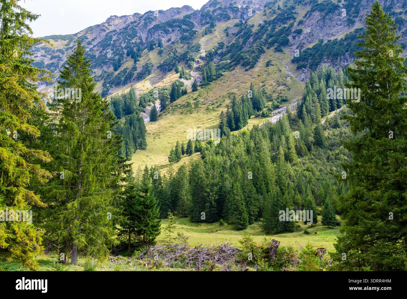 Lush alpine valley stretches hi-res stock photography and images - Alamy