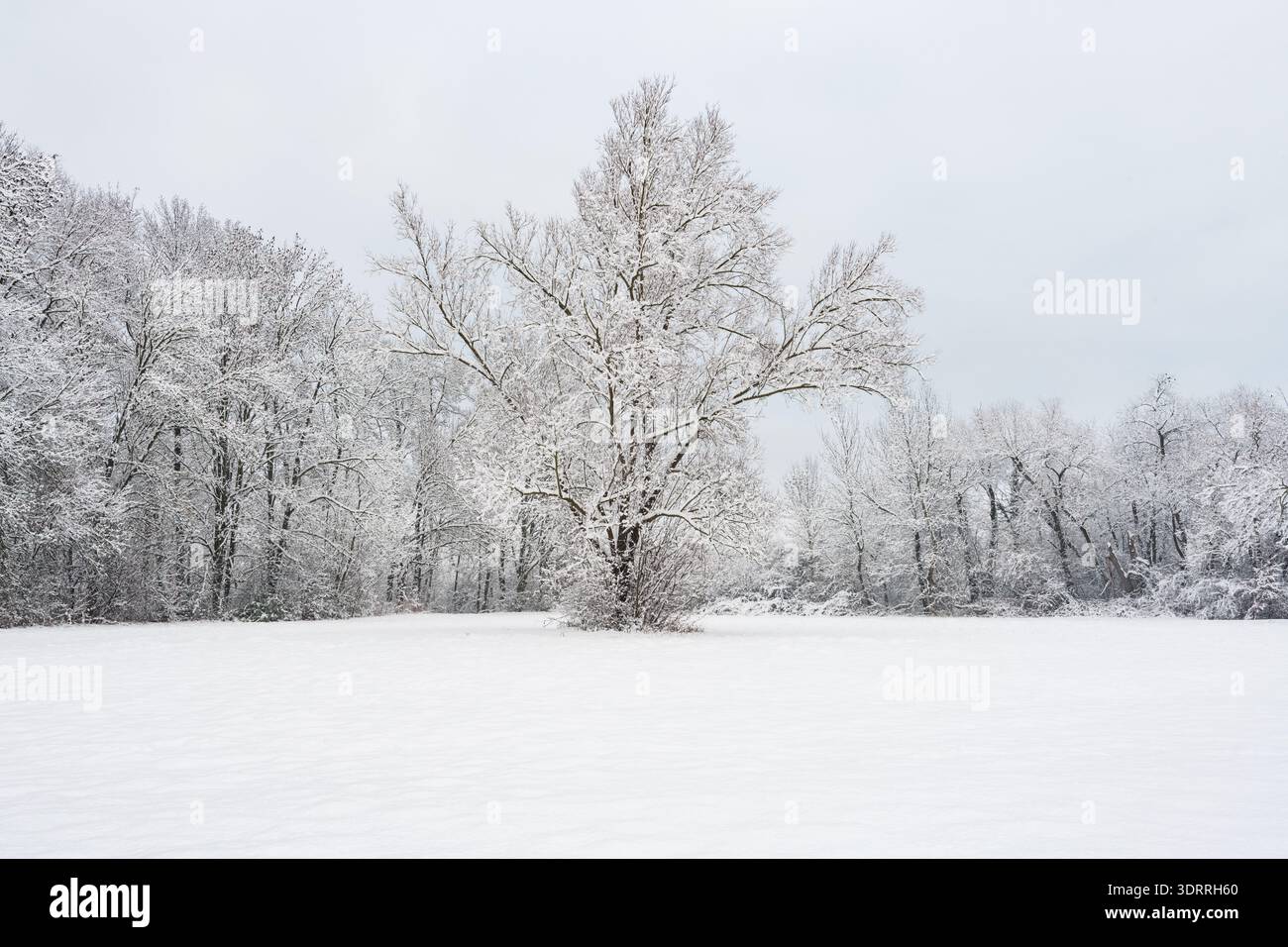 White and snowy winter landscape in Germany's Bavaria. Stock Photo