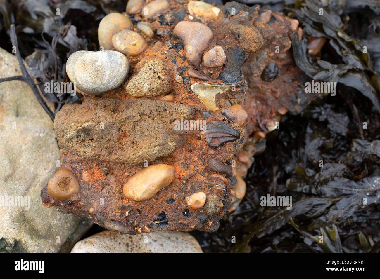 Rusty Reddis Beach Rocks A rusty rock with pebbles and shells, on a beach in Folkestone, UK ...