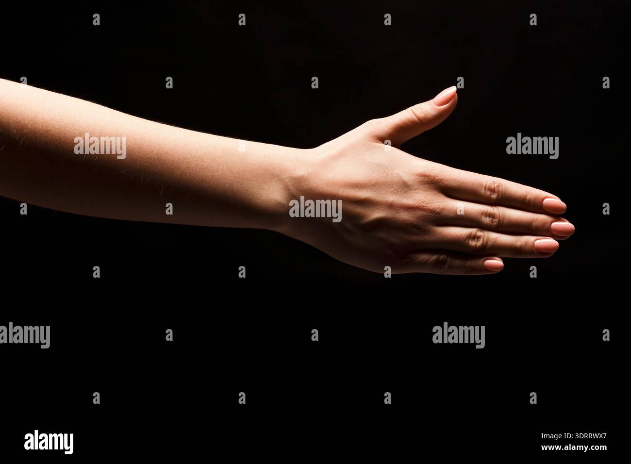 Hand gesture collection showcasing hi-res stock photography and images ...