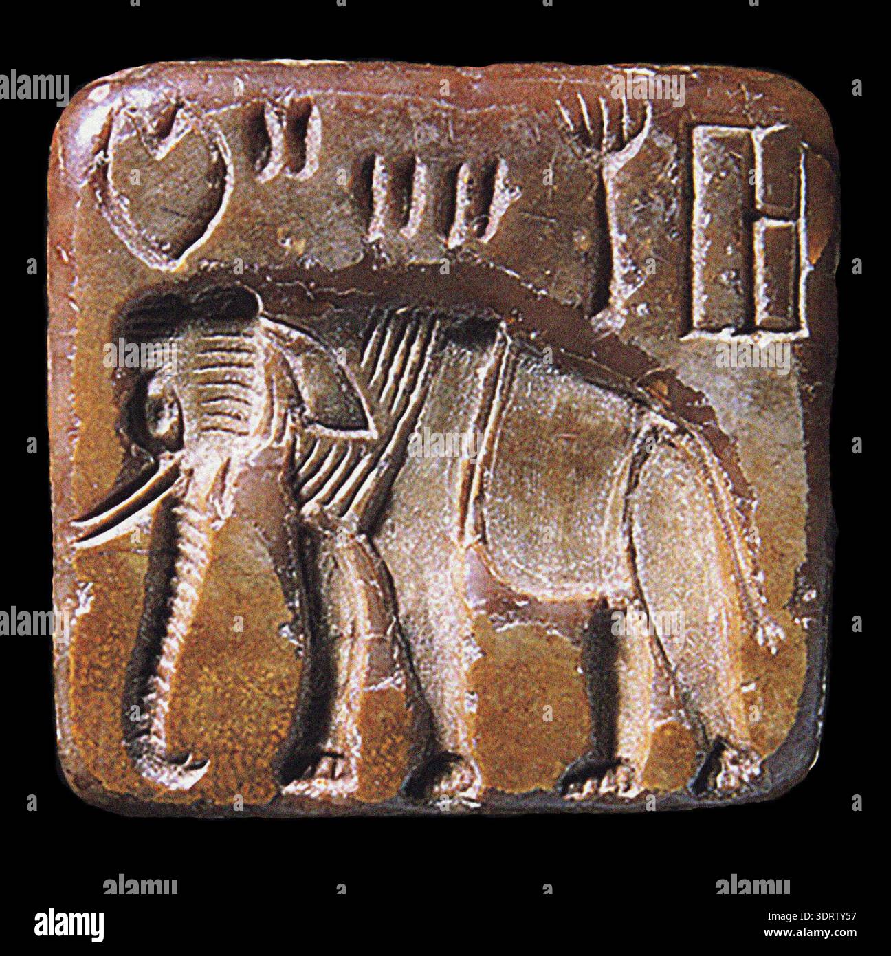 Elephant Script Elephant Seal with Indus Script Found at Mohenjo Daro, Indus Valley ...