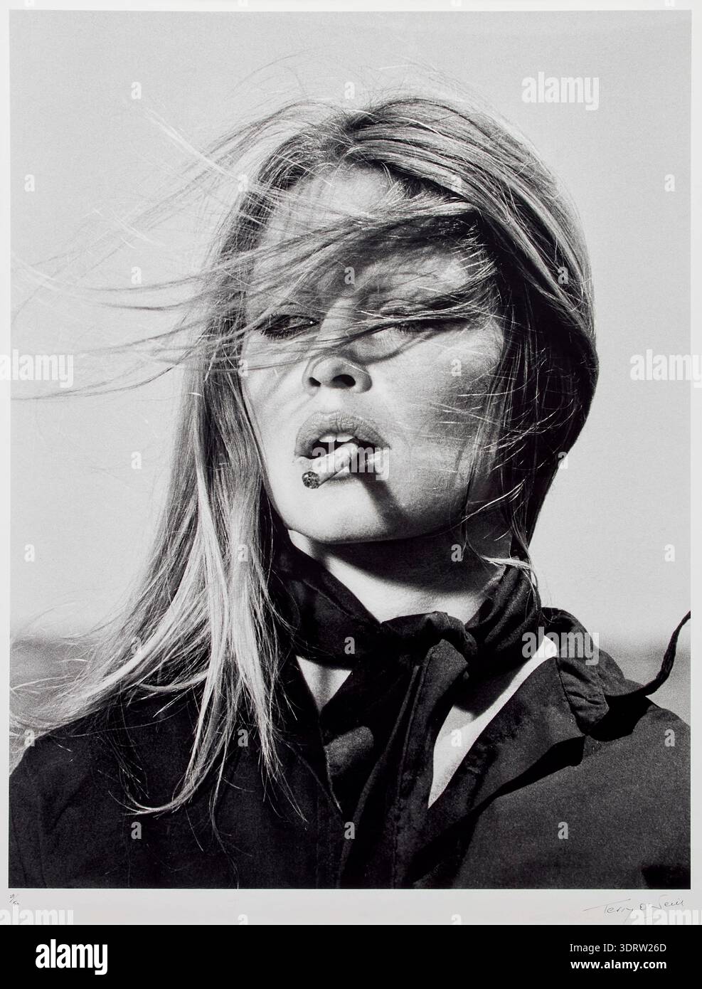 Brigitte bardot portrait hi-res stock photography and images - Alamy