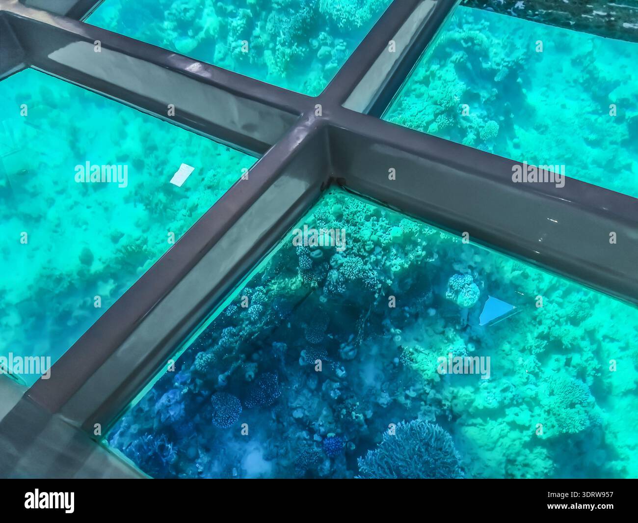 View of coral reefs through the transparent glass bottom of the ship. Metal frame against the background of the underwater world in the Red Sea of Egy - Smartphone Captured Stock Image