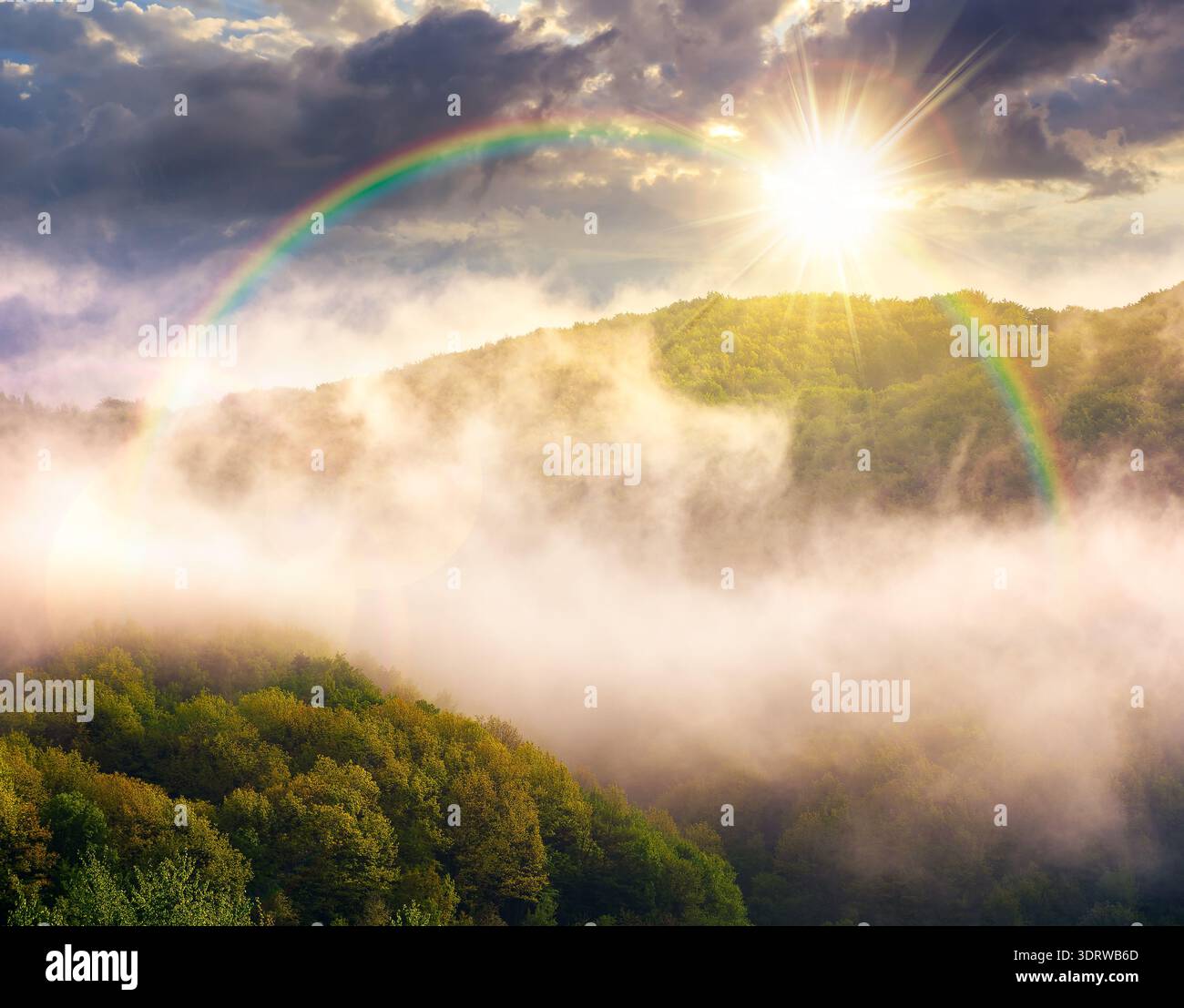 mountain landscape with cold fog at sunset. low clouds evaporating over the forested hill in evening light. outdoor scenery in spring for remote highl Stock Photo