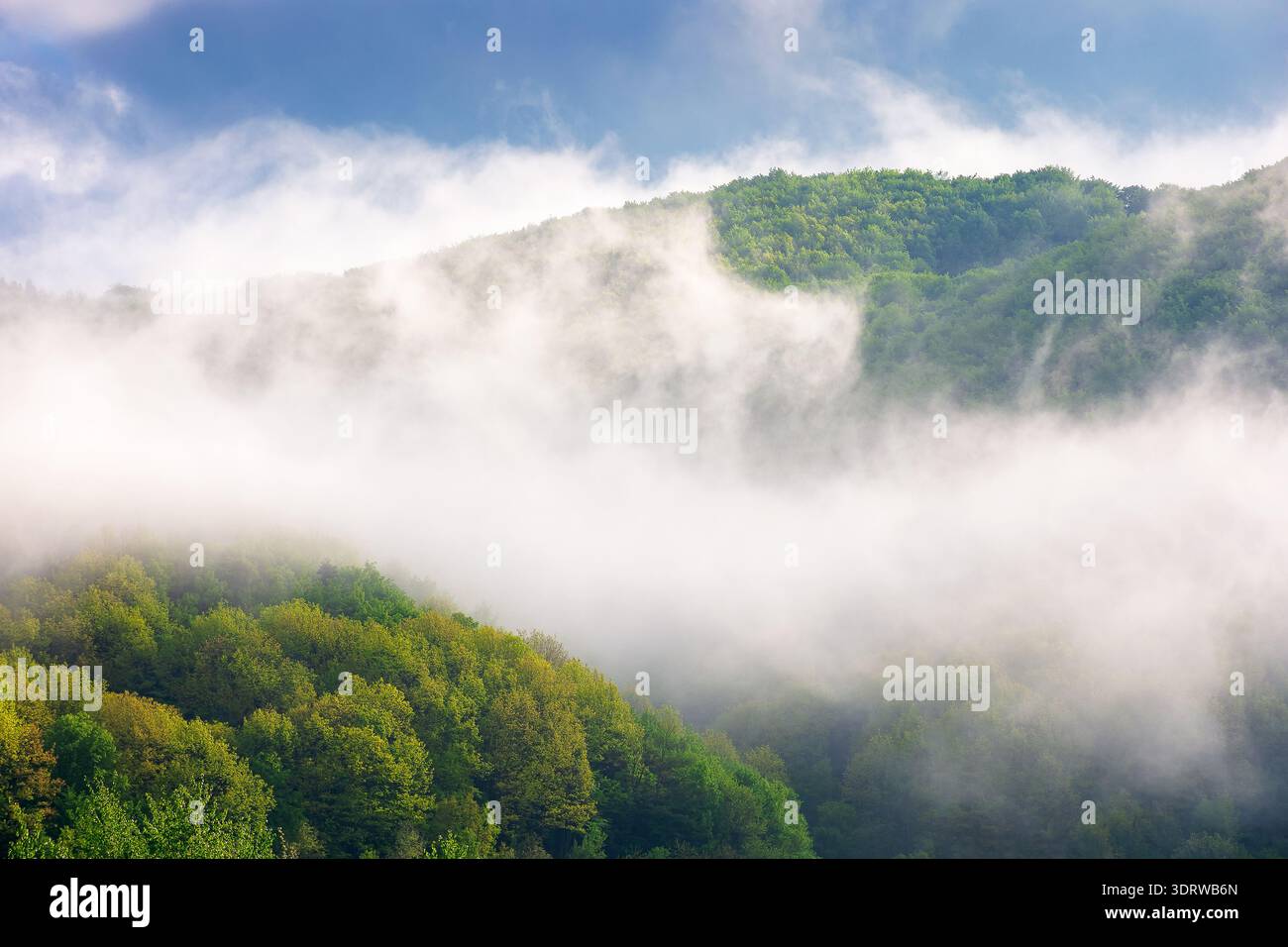 mountain landscape with cold fog during forenoon. low clouds evaporating over the forested hill. idyllic outdoor scenery in spring for remote highland Stock Photo