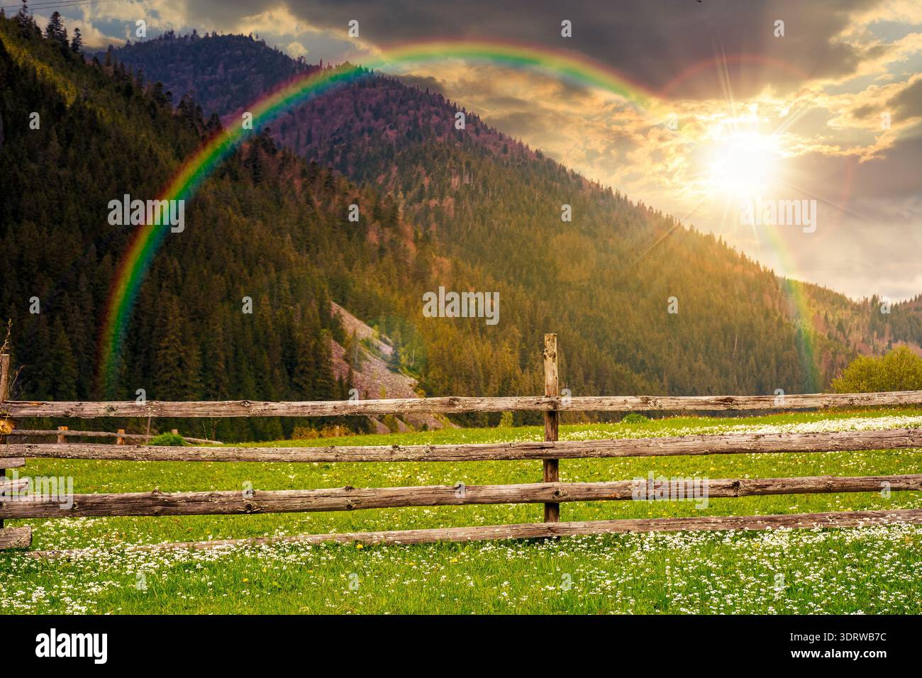green rural landscape with wooden fence at sunset. countryside scene with rolling hill in spring in evening light. pastoral highland region on cloudy Stock Photo