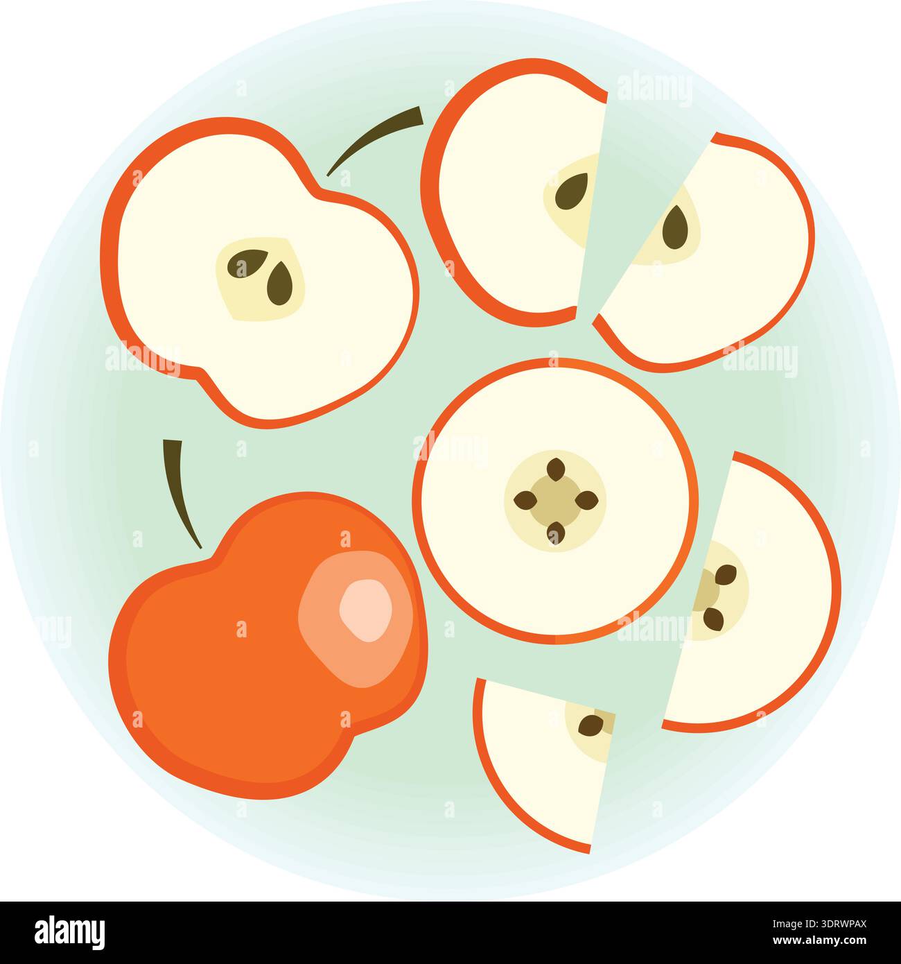 Flat vector ripe red apple set Stock Vector