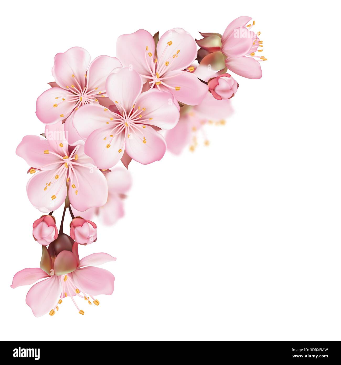 Sakura Blossom Floral 2 Stock Vector
