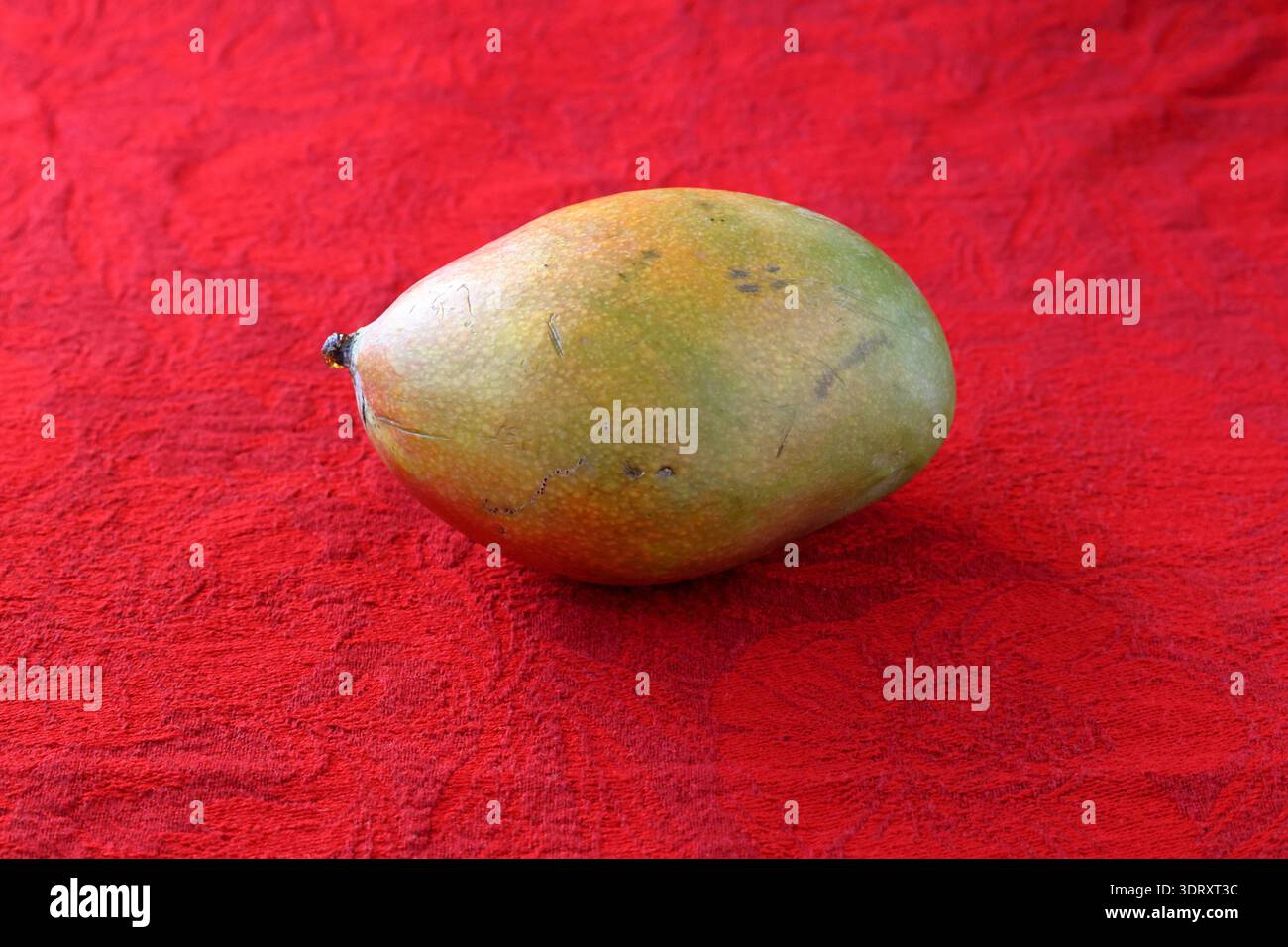 One whole mango fruit. Red cloth as background. Stock Photo