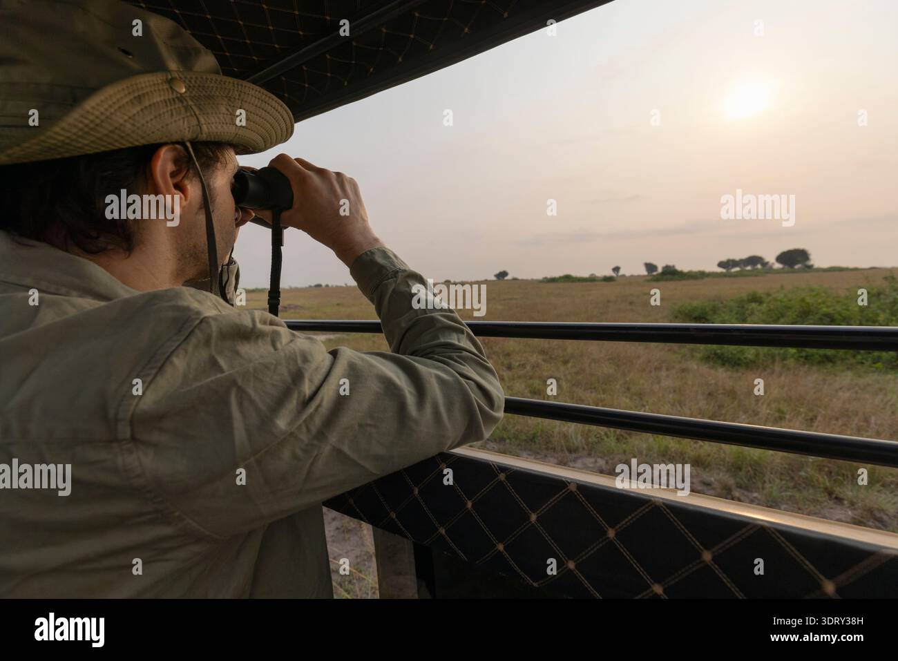 A local safari guide standing on top of his vehicle looking through binoculars searing for wildlife to show the tourists, Nairobi National Park, Kenya Stock Photo
