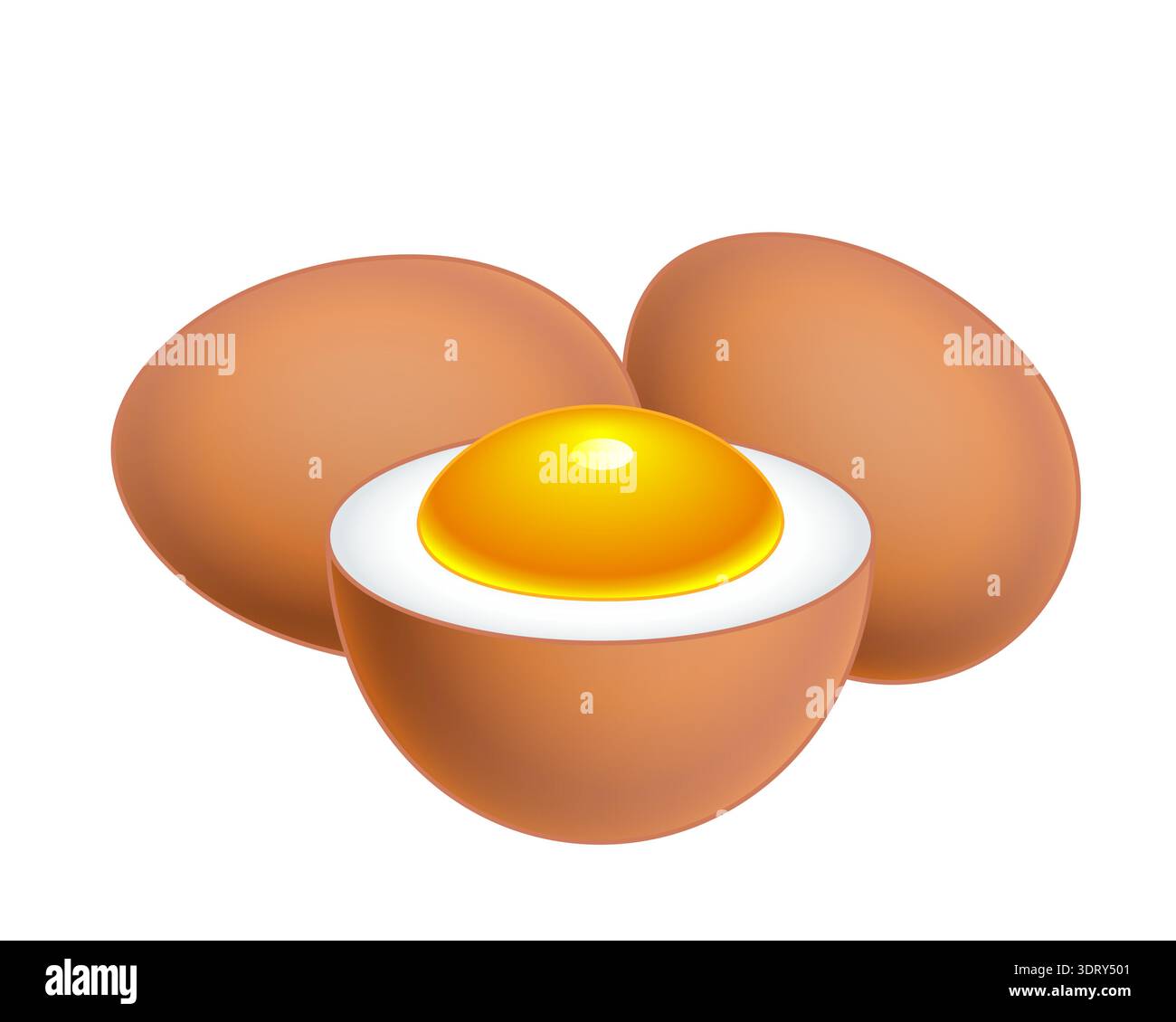 Illustration of a boiled eggs Stock Vector