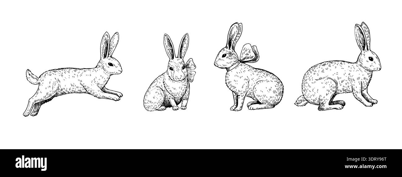 Hand Drawn Rabbit Inmotion Cute rabbits in various positions in engraving style on white ...