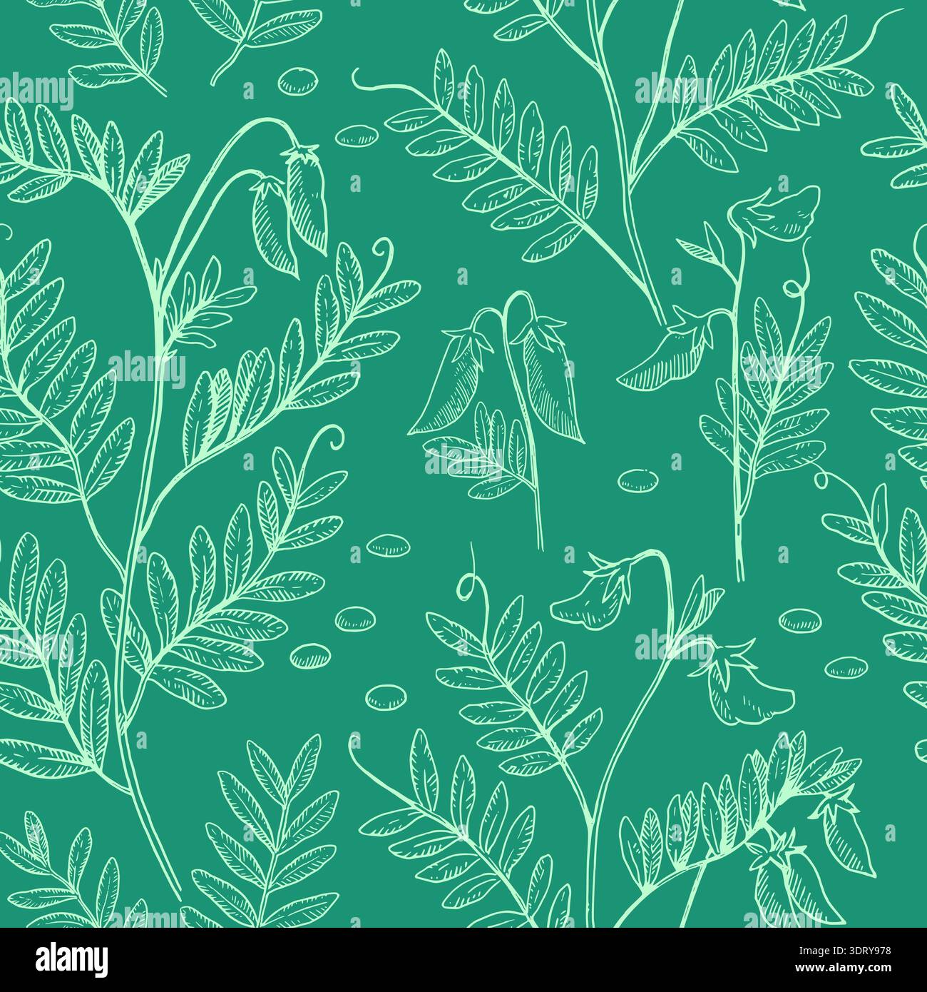 Seamless pattern with lentil plants, pods and beans. Hand-drawn detailed monochrome vector illustration. Stock Vector