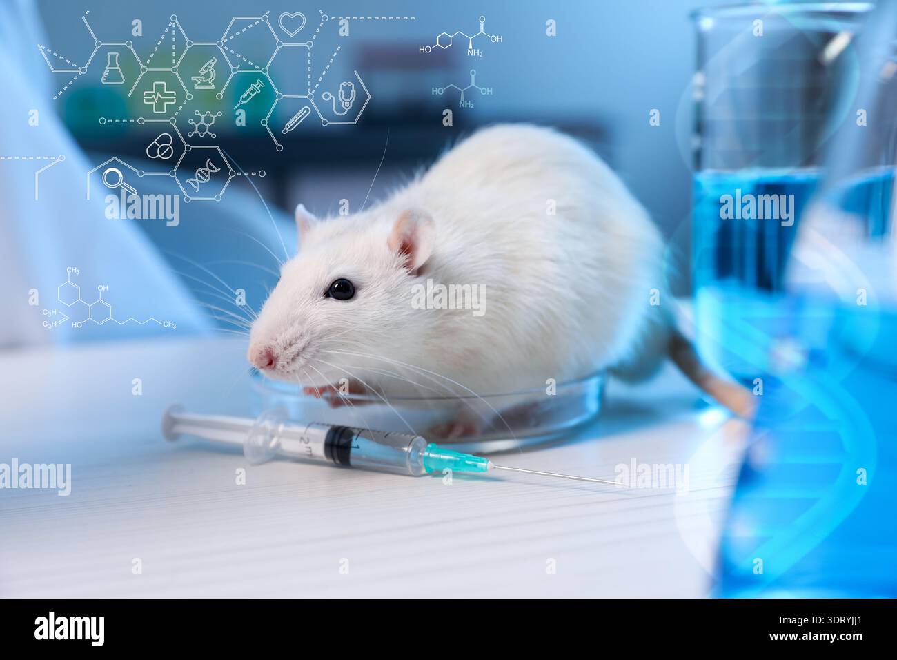 Biochemistry. Rat and syringe on table in laboratory. Scheme with icons ...