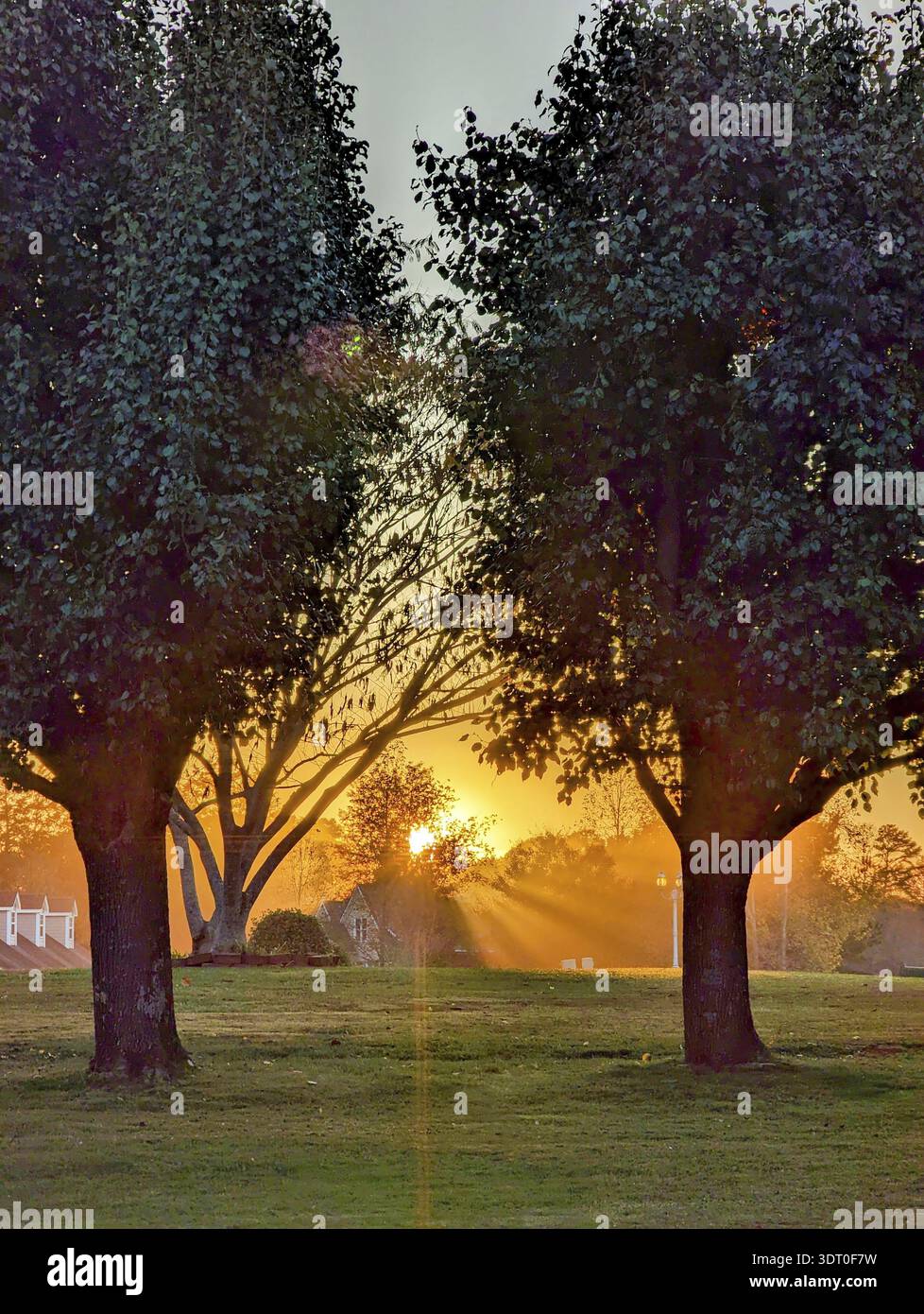 Beautiful sun shining between two trees at sunset Stock Photo