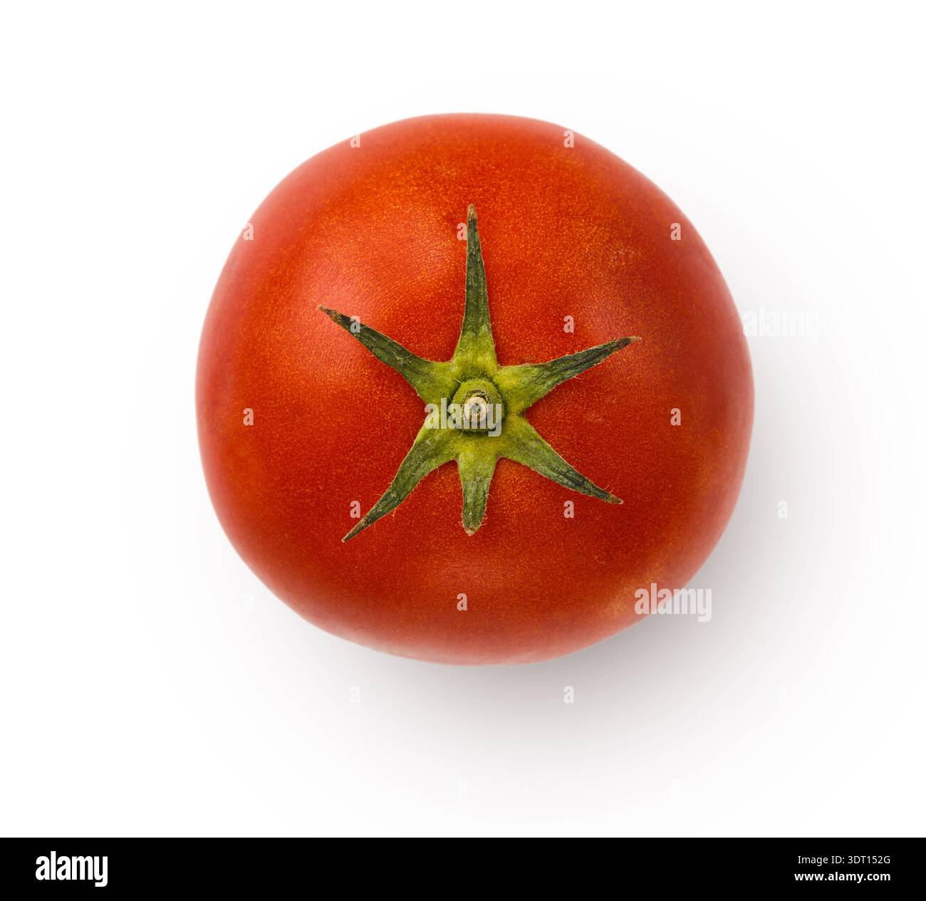 Fresh Tomato on White Background in Simple Display Stock Photo
