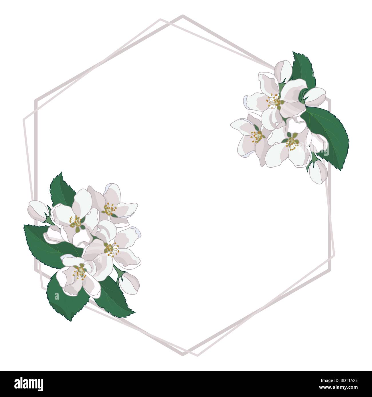 Spring Apple Tree Blossom Flowers Frame Border Stock Vector