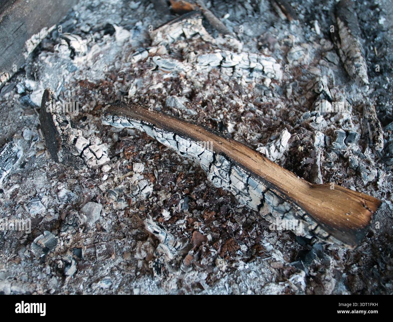black charcoal and logs with ashes from the campfire Stock Photo