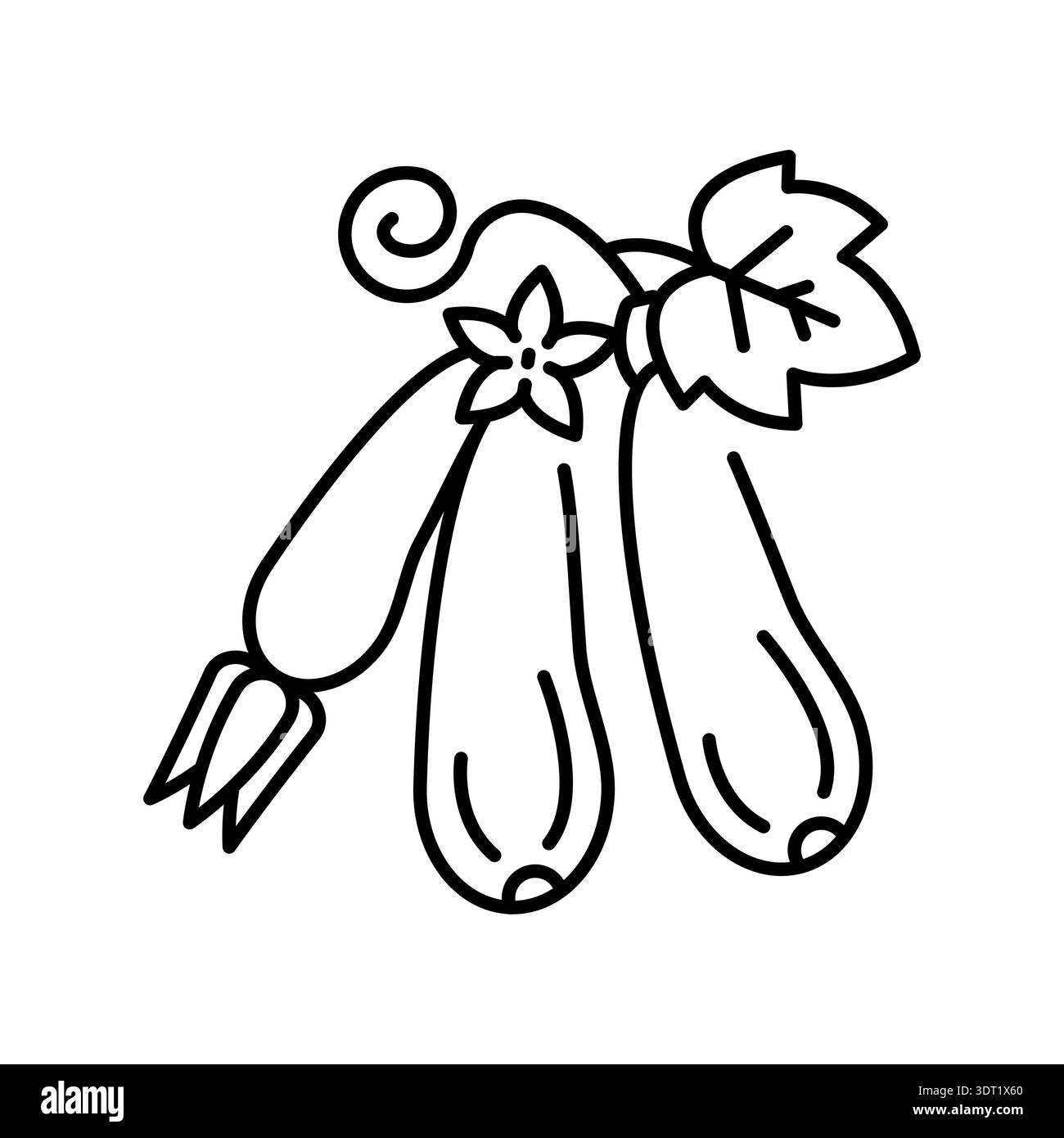 growing zucchini black line icon for digital and print projects ...